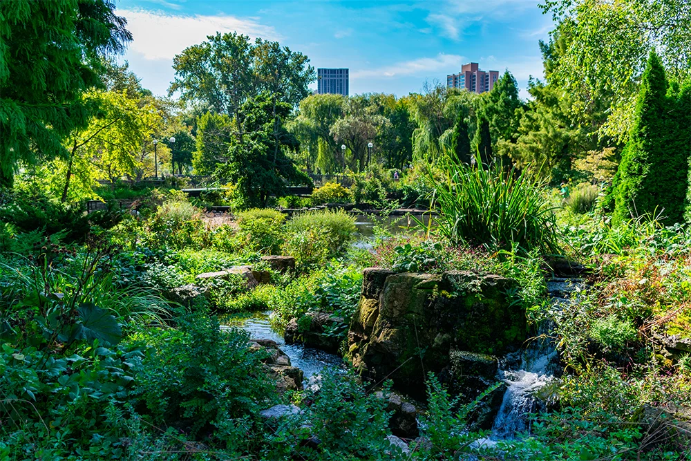 Lincoln Park Zoo & Conservatory